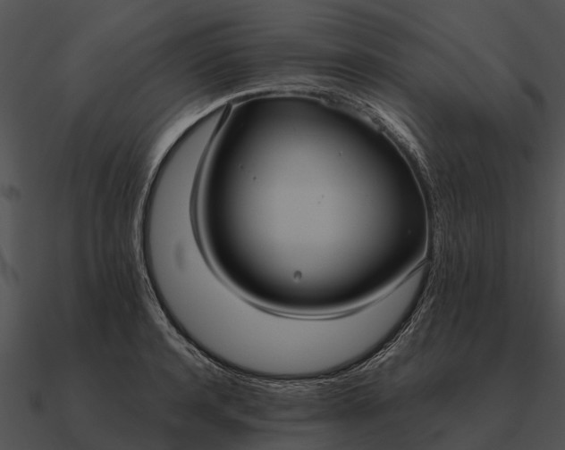 X0000090710944200708031430