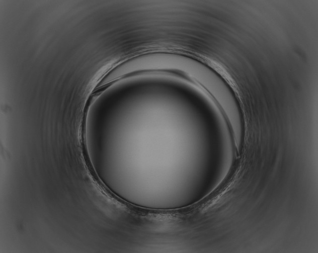 X0000090710946200708031430