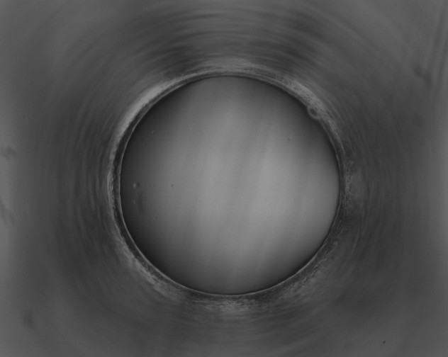 X0000090710947200708031430