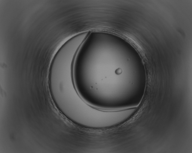 X0000090710948200708031430