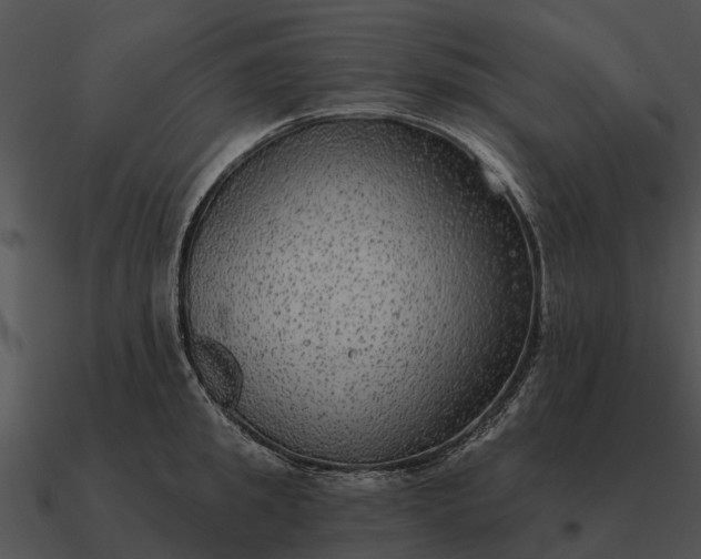 X0000090710949200708031430