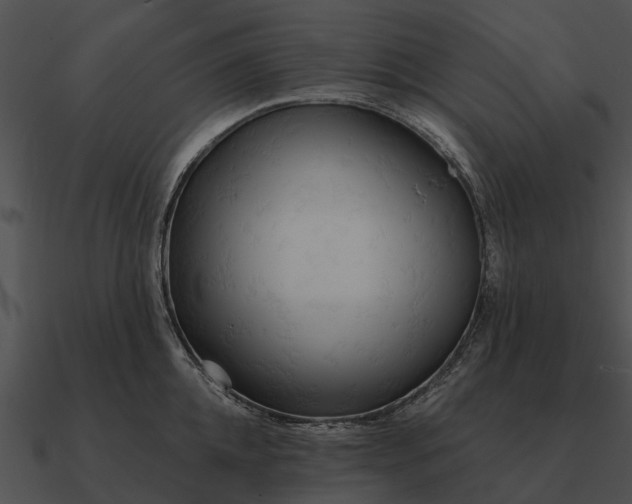 X0000090710952200708031430