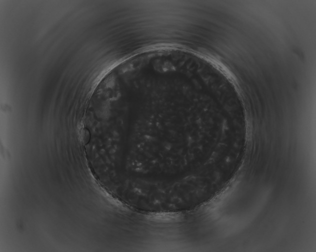 X0000090710953200708031430