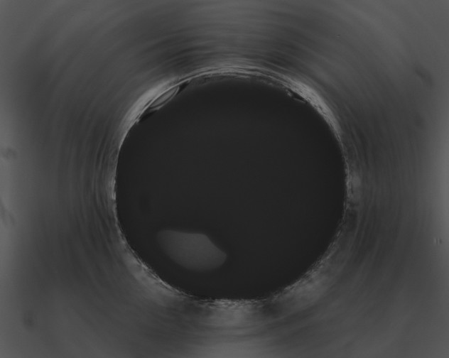 X0000090710954200708031430