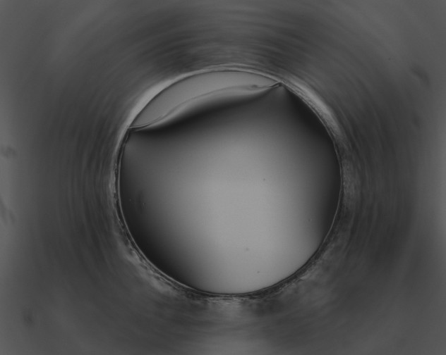 X0000090710956200708031430