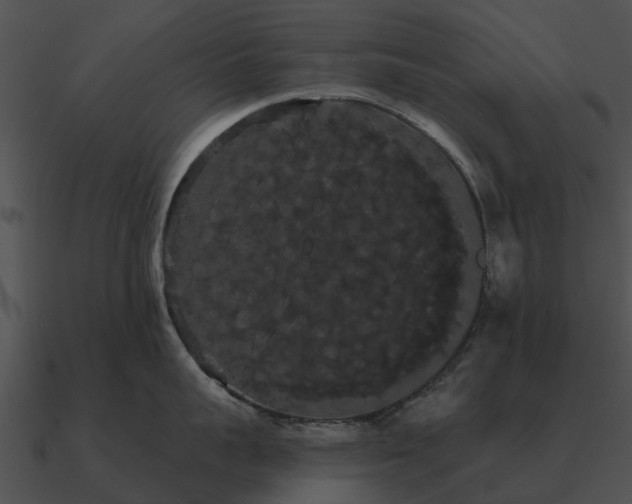 X0000090710959200708031430