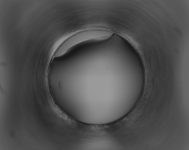 X0000090710960200708031430