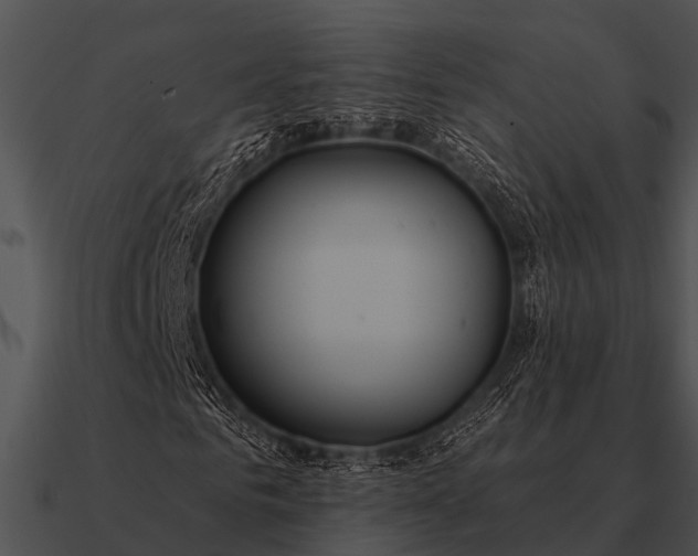 X0000090710961200708031430