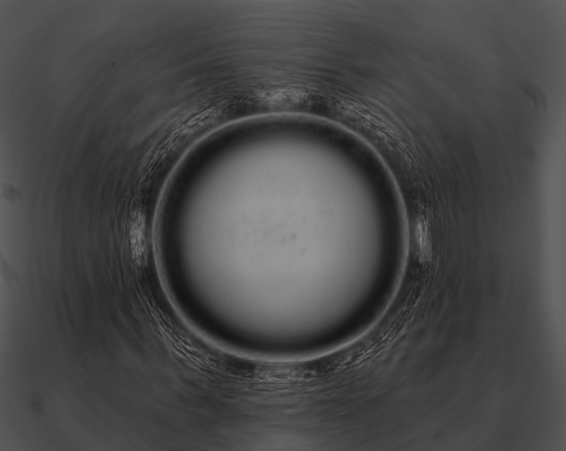 X0000090710963200708031430