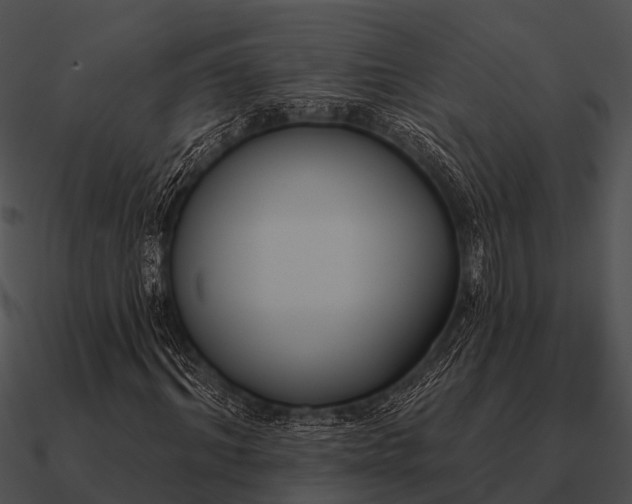 X0000090710964200708031430