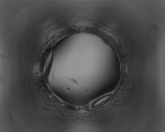 X0000090710965200708031430