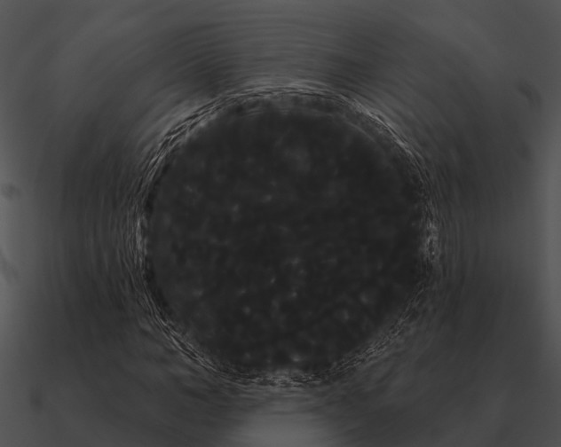 X0000090710966200708031430