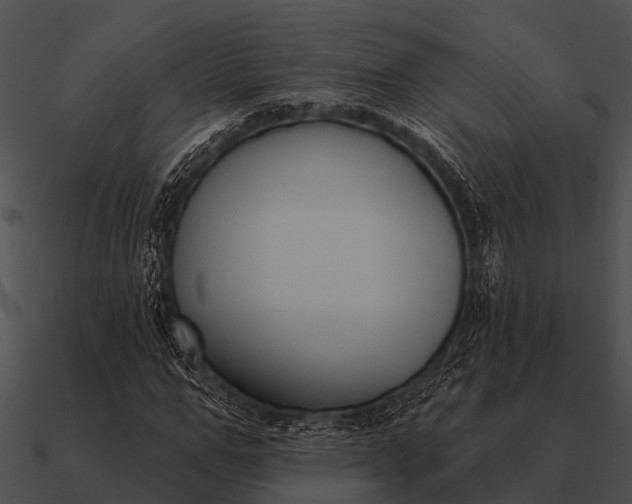 X0000090710967200708031430