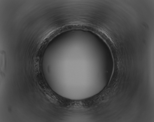 X0000090710968200708031430