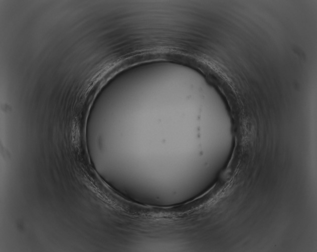 X0000090710969200708031430