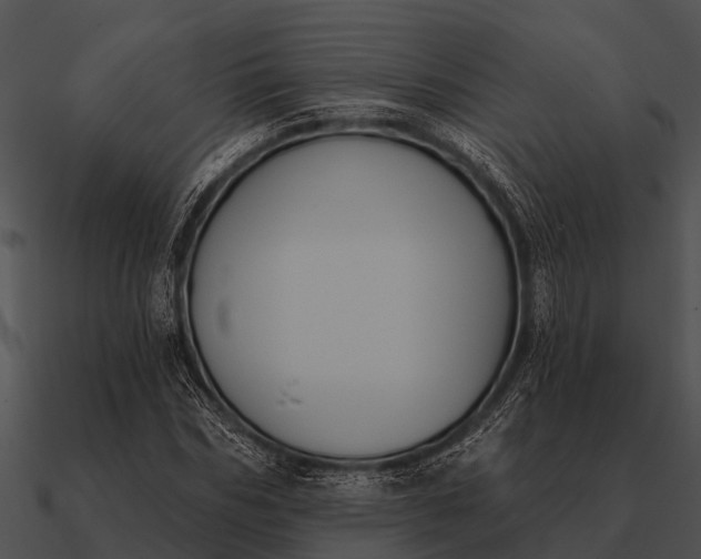 X0000090710970200708031430