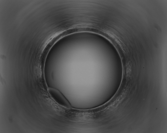 X0000090710973200708031430