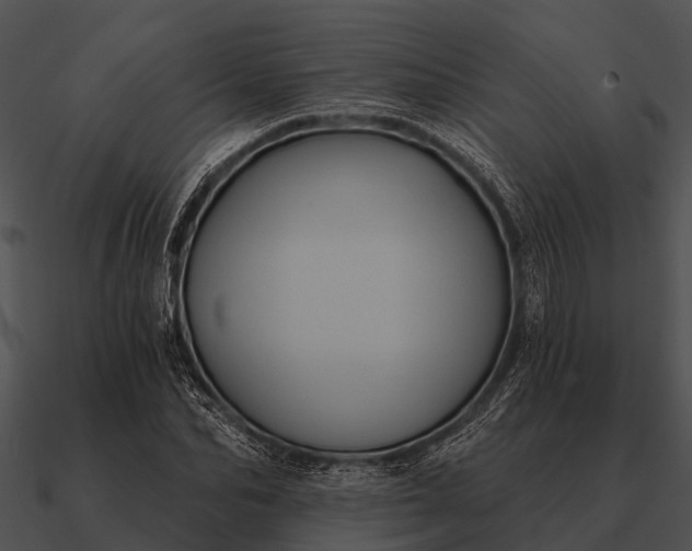 X0000090710974200708031429