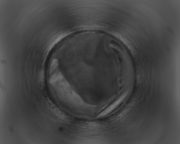 X0000090710975200708031429