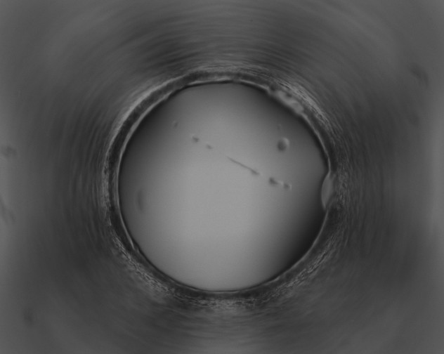 X0000090710976200708031429