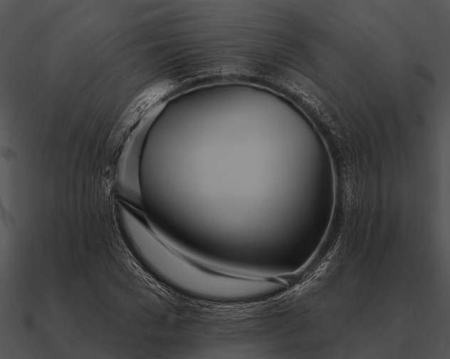 X0000090710977200708031429