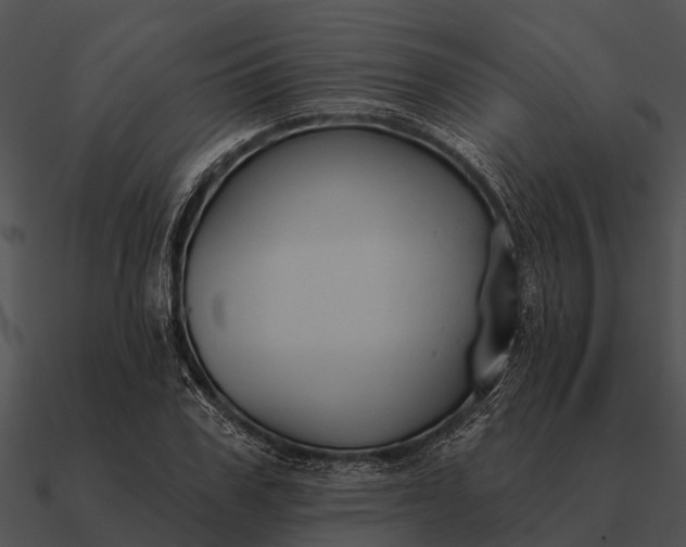 X0000090710979200708031429