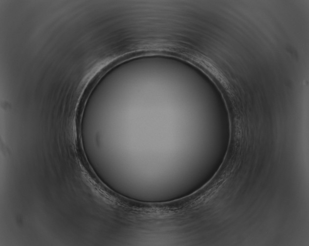 X0000090710980200708031429