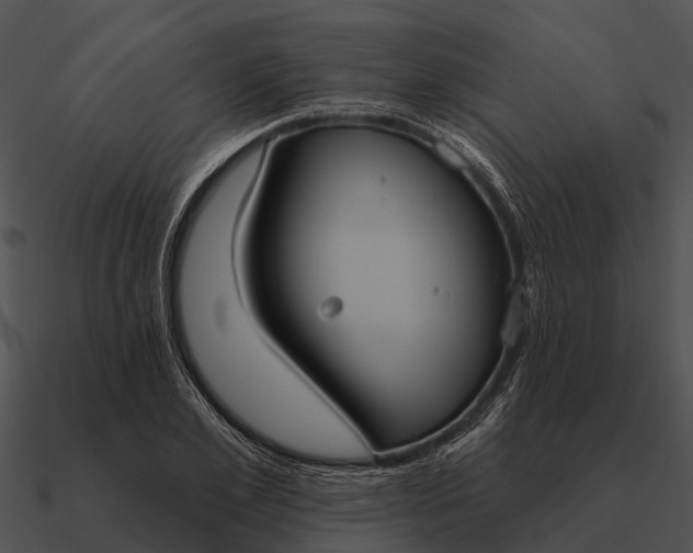 X0000090710981200708031429