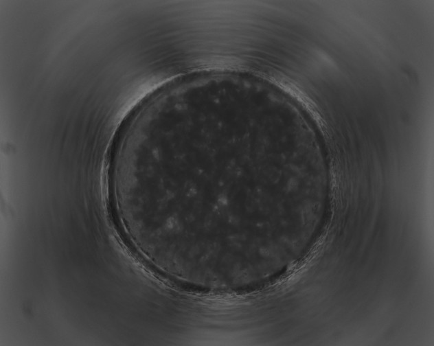 X0000090710983200708031429