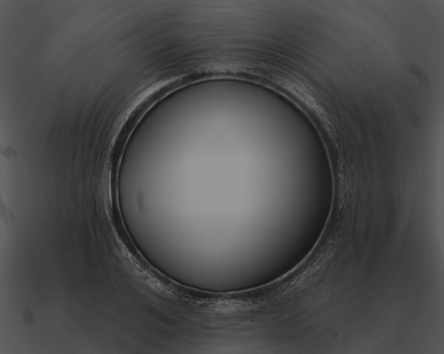 X0000090710984200708031429