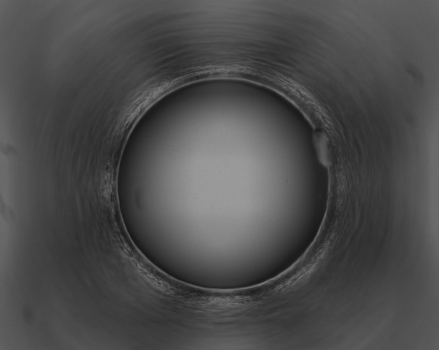 X0000090710985200708031429