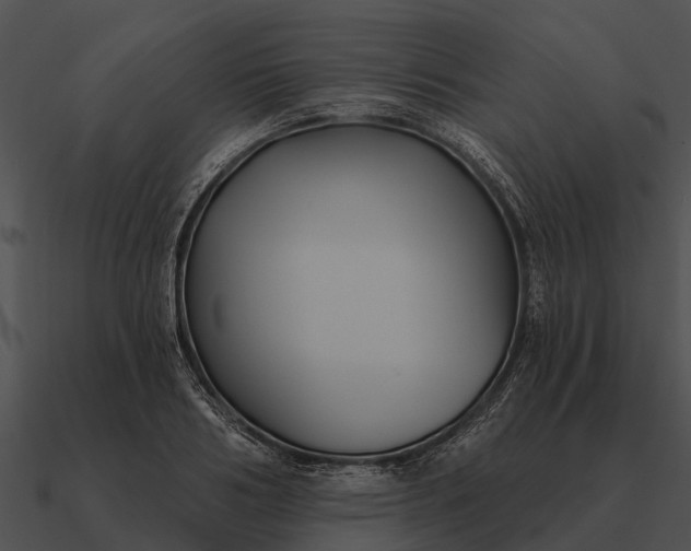 X0000090710986200708031429