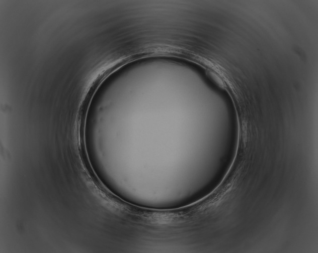 X0000090710987200708031429