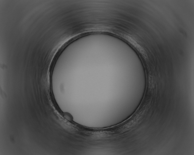 X0000090710988200708031429