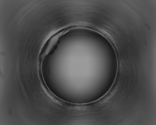 X0000090710989200708031429