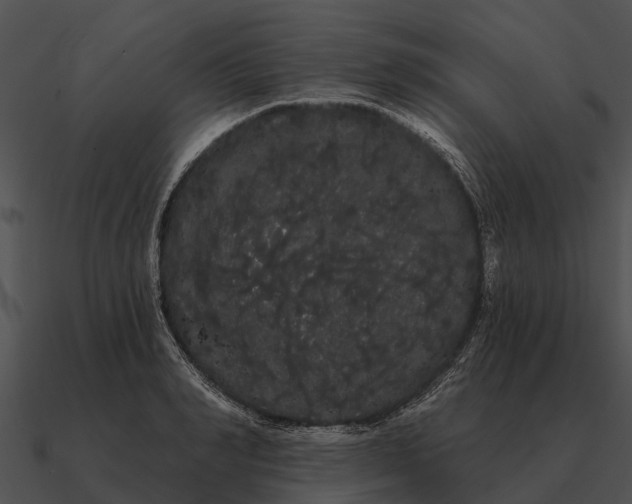 X0000090710990200708031429