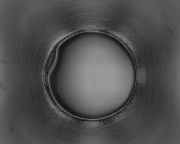 X0000090710991200708031429