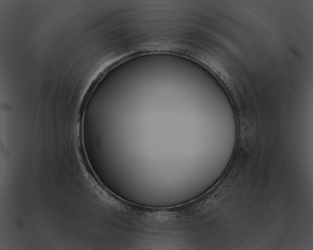 X0000090710992200708031429