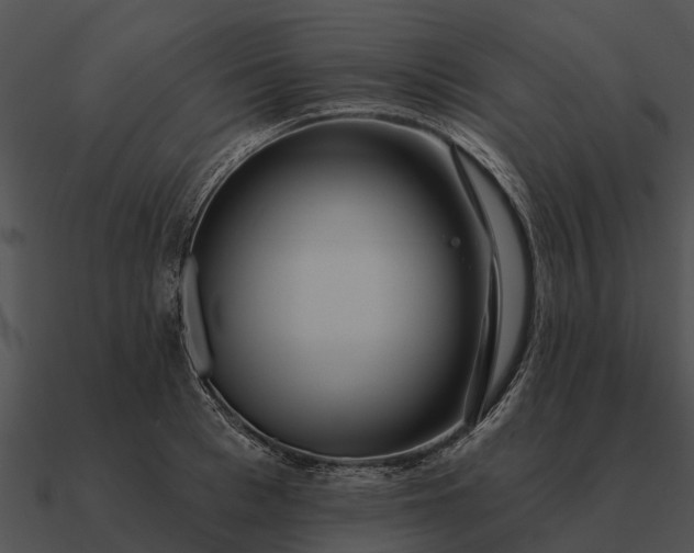 X0000090710993200708031429