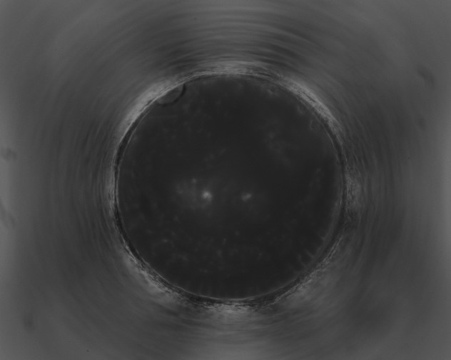 X0000090710994200708031429