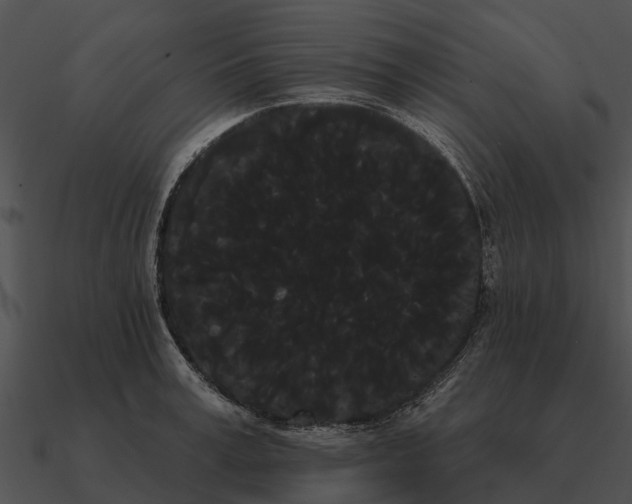 X0000090710995200708031429