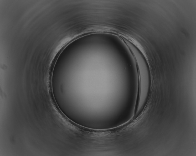 X0000090710997200708031429