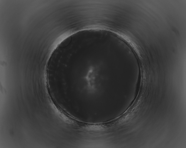 X0000090710998200708031429