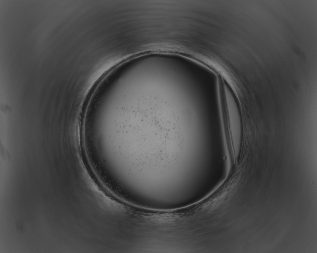 X0000090710999200708031429