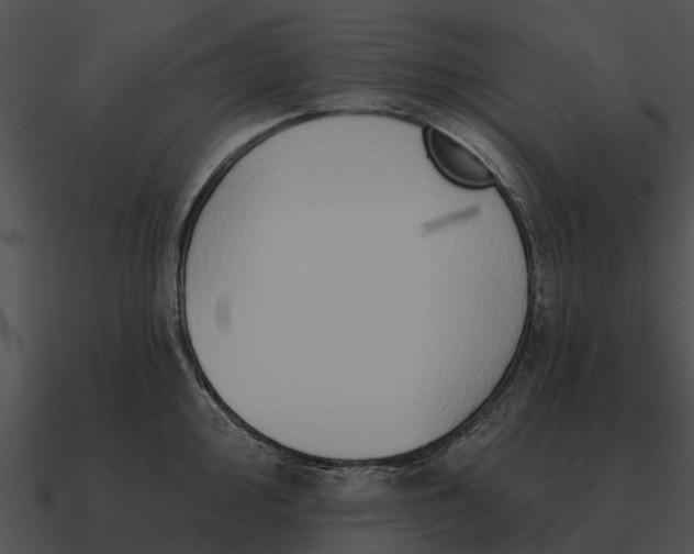 X0000090711000200708031429