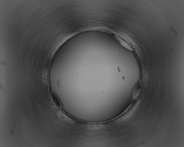 X0000090711001200708031429