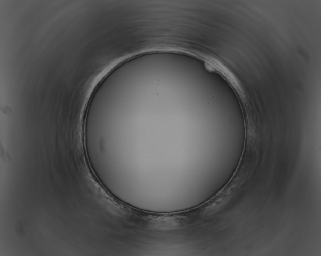 X0000090711004200708031429