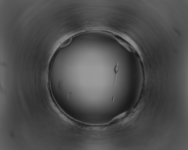 X0000090711005200708031429