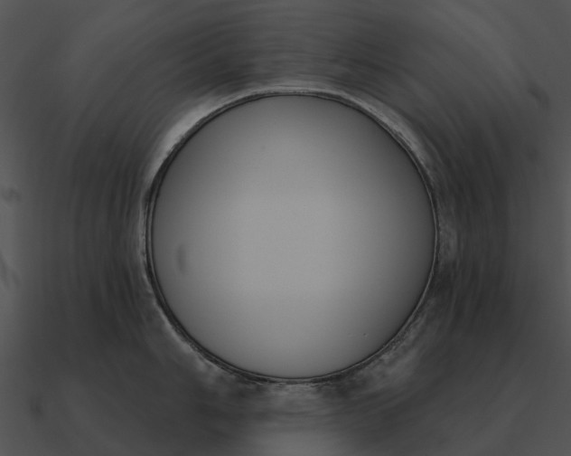 X0000090711006200708031429