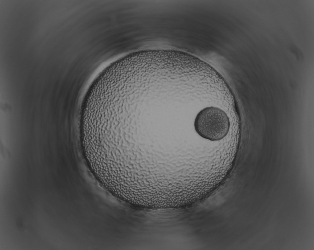 X0000090711008200708031429